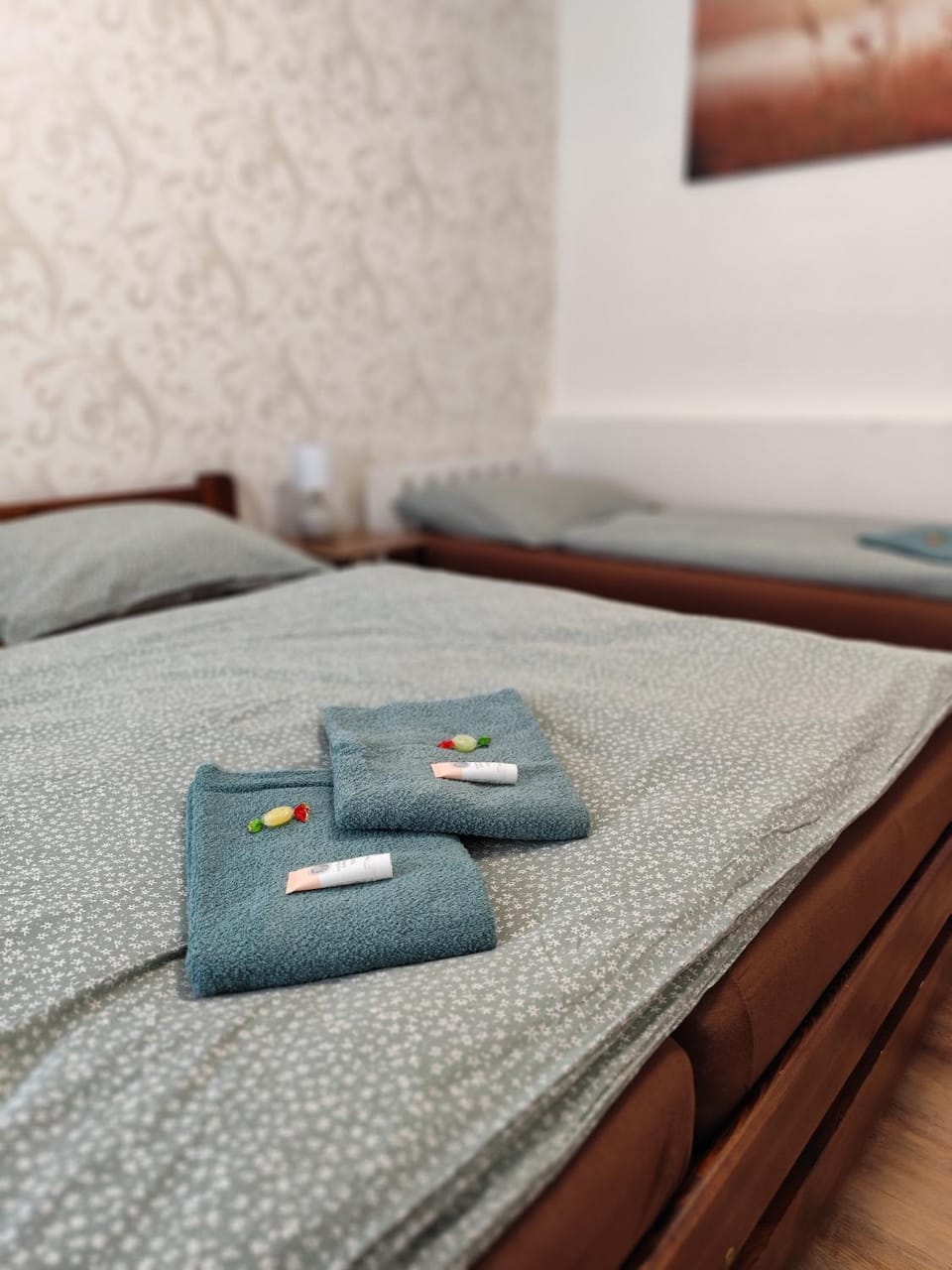Family Apartment Pod Sněžníkem Apartment in Czechia