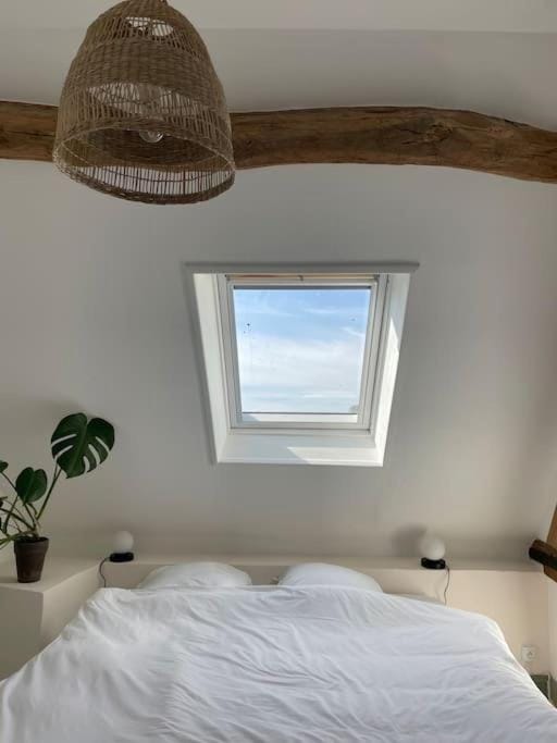 Appartement cosy et lumineux au cœur de Montreuil Apartment in Hauts-de-France