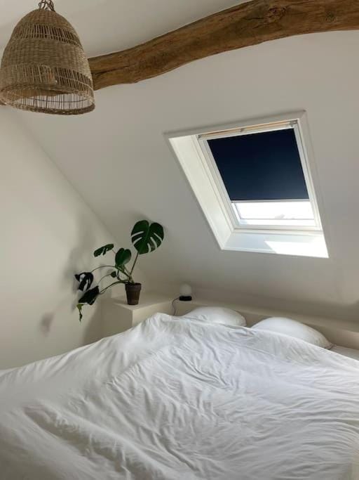 Appartement cosy et lumineux au cœur de Montreuil Apartment in Hauts-de-France