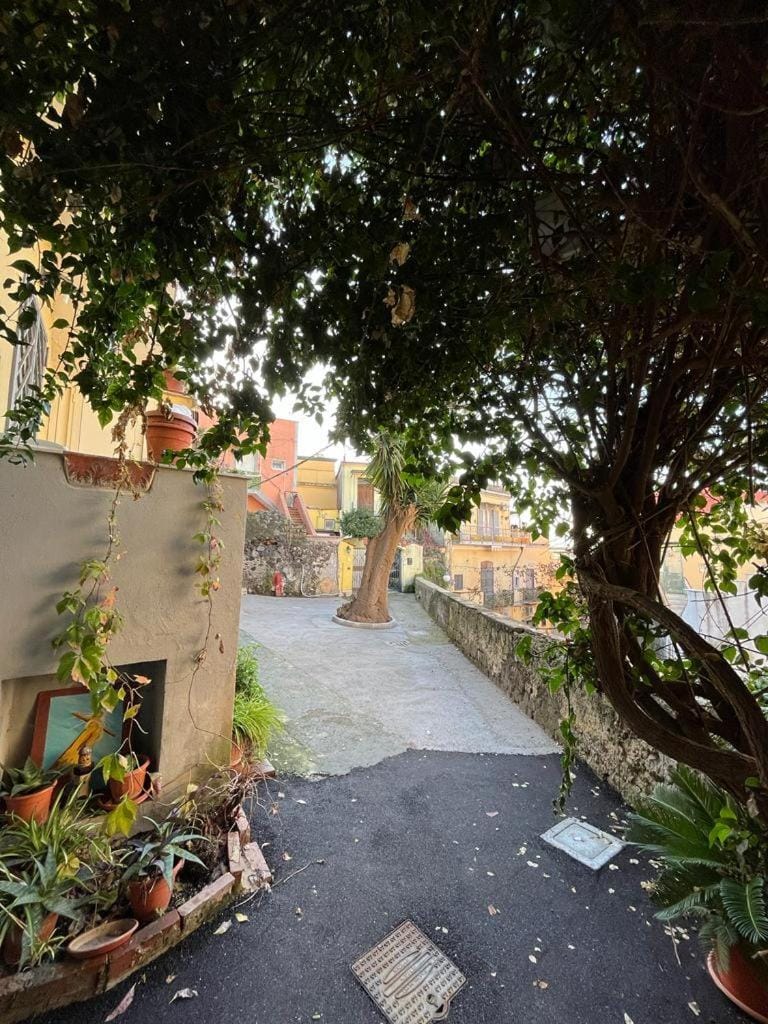 Garden, Garden view