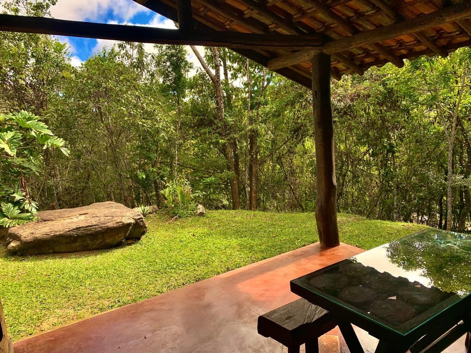 Day, Natural landscape, Garden, Garden view