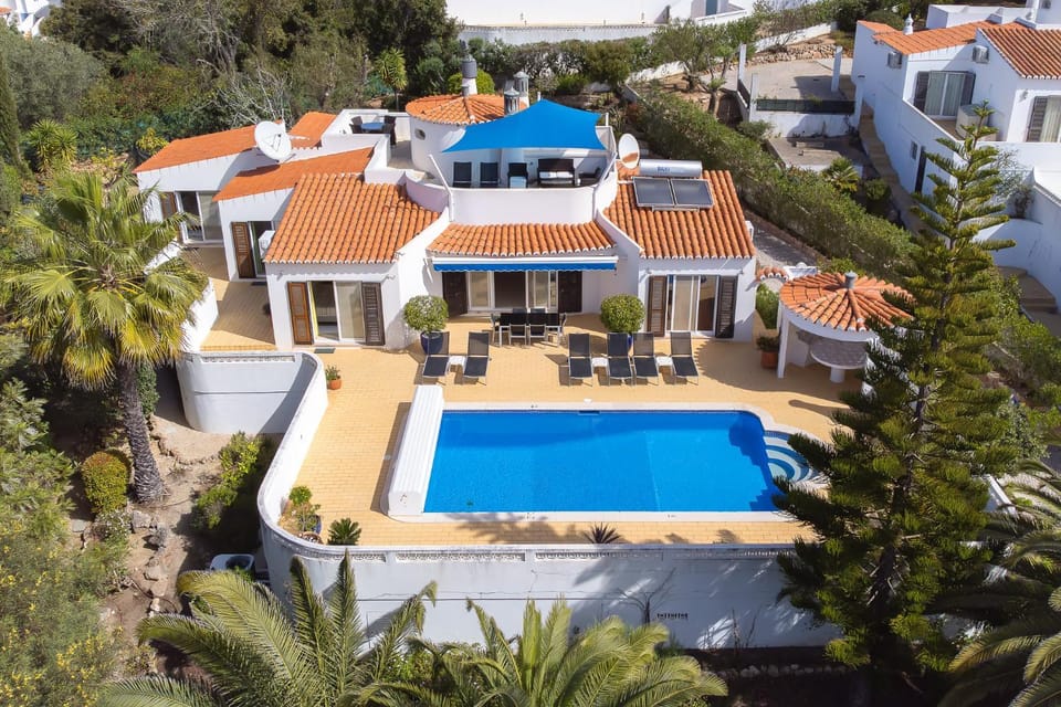 Bird's eye view, Swimming pool, sunbed