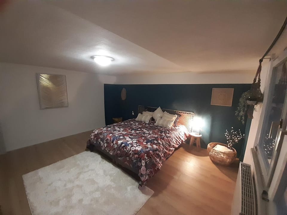 Maison de ville Sélestat centre Apartment in Sélestat