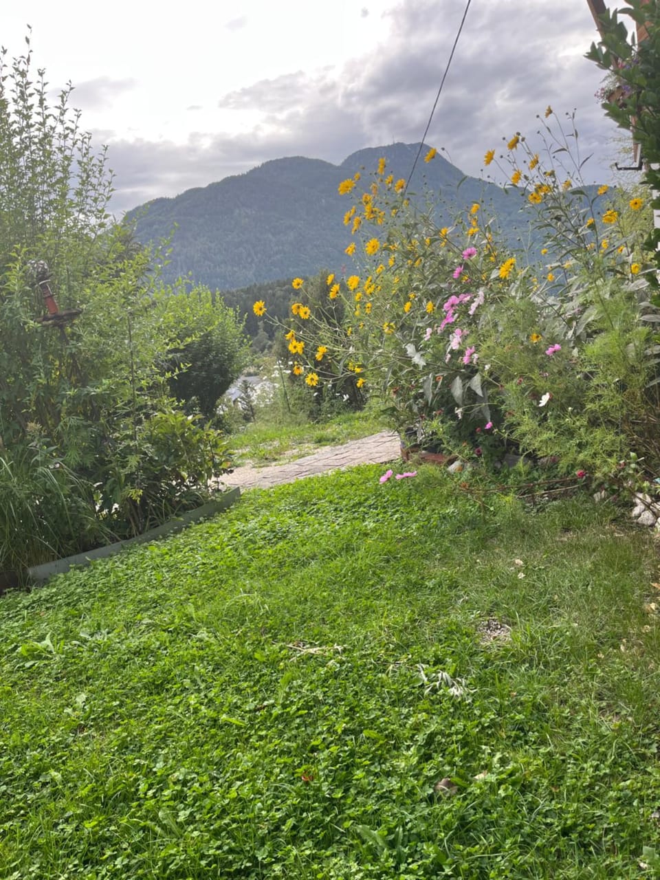 Ferienwohnung Am Jodlerweg Apartment in Salzburgerland