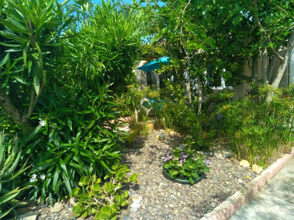 Natural landscape, Garden, Garden view