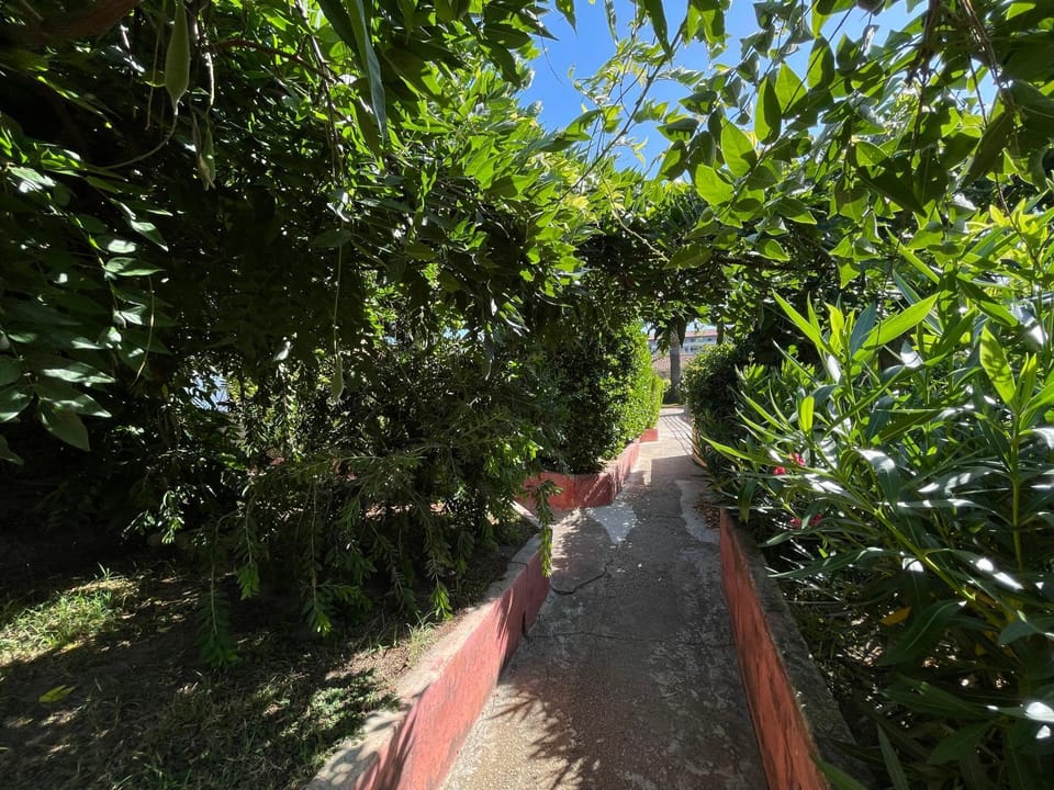 Day, Natural landscape, Garden, Garden view