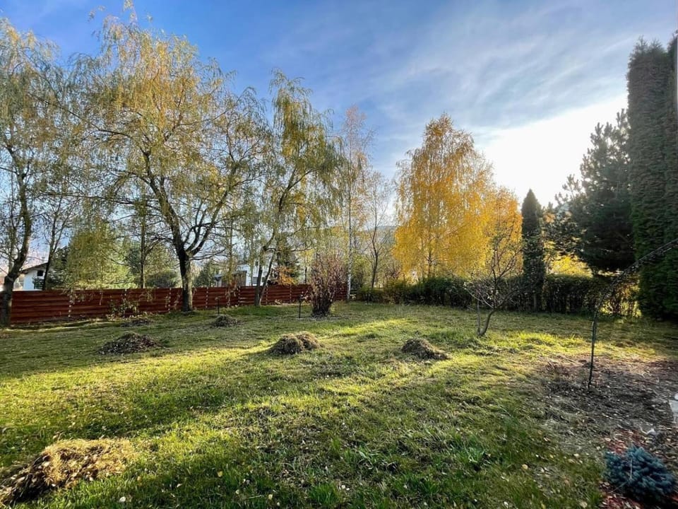 Spring, Day, Natural landscape, BBQ facilities, Garden, Garden view