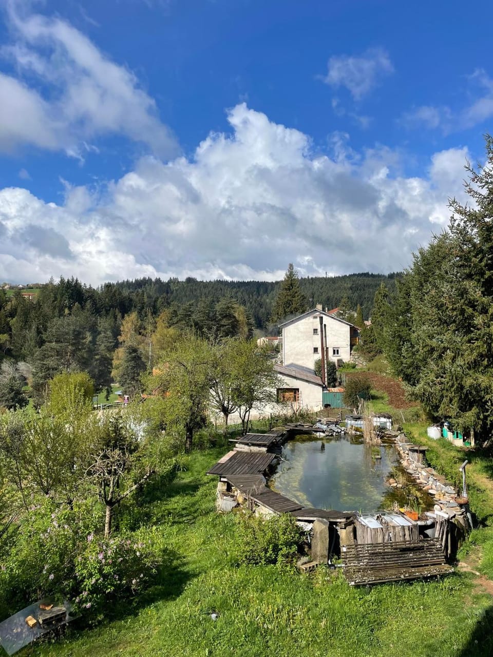 Garden, Swimming pool