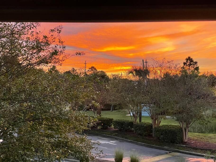 Garden, Sunrise