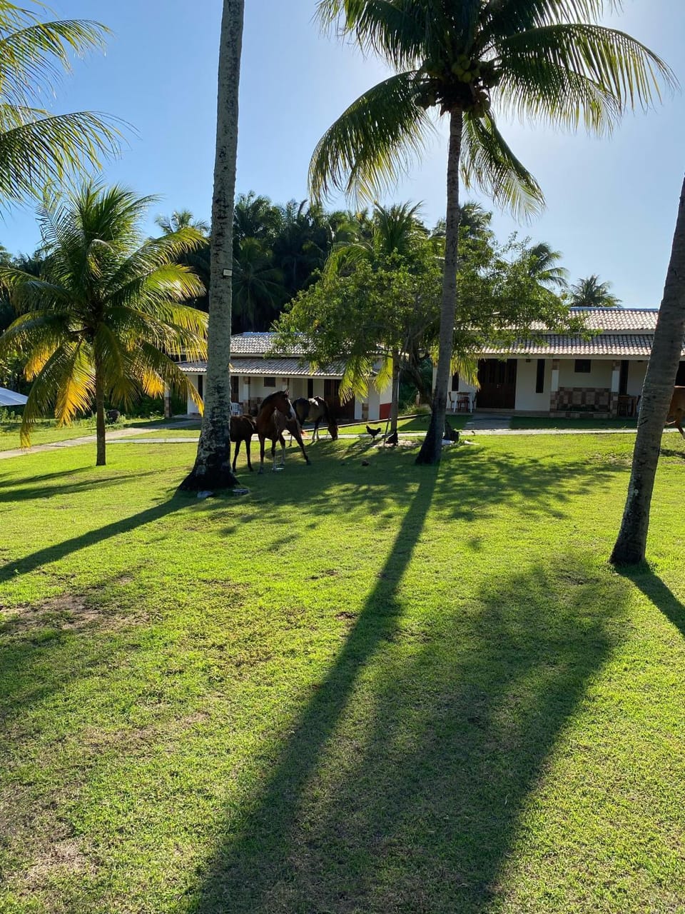 Eco Pousada côco dendê Bed and Breakfast in State of Bahia