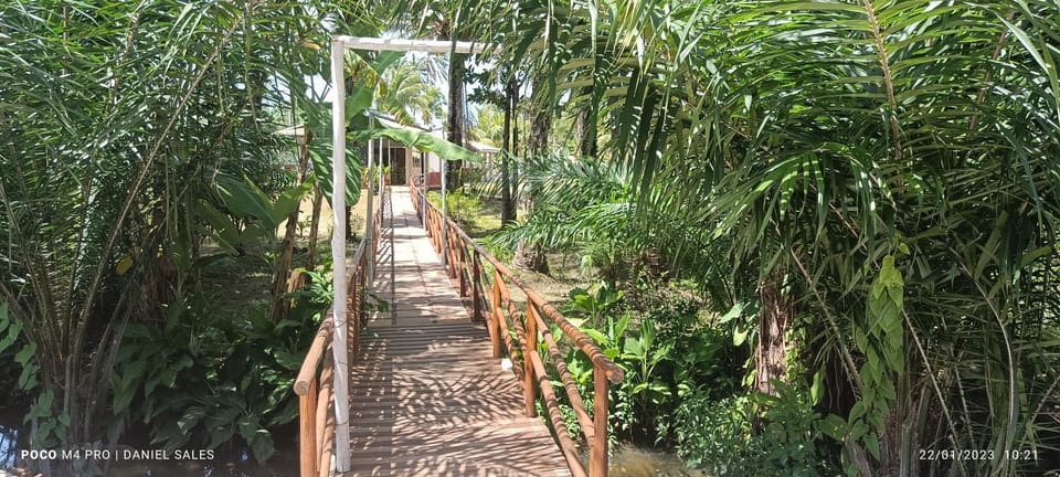 Eco Pousada côco dendê Bed and Breakfast in State of Bahia