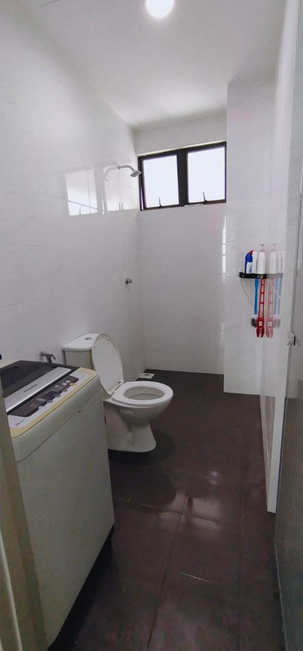 Toilet, Bathroom, washing machine