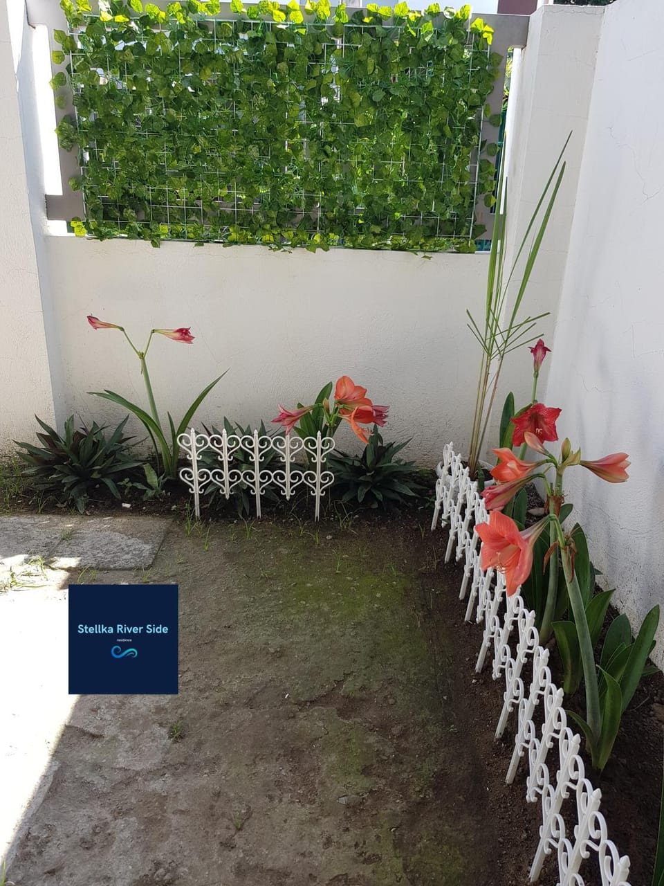 Garden, Garden view