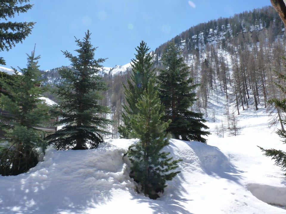 Studio cosy skis aux pieds, terrasse, proche village, animaux admis - FR-1-694-93 Apartment in Val dIsere
