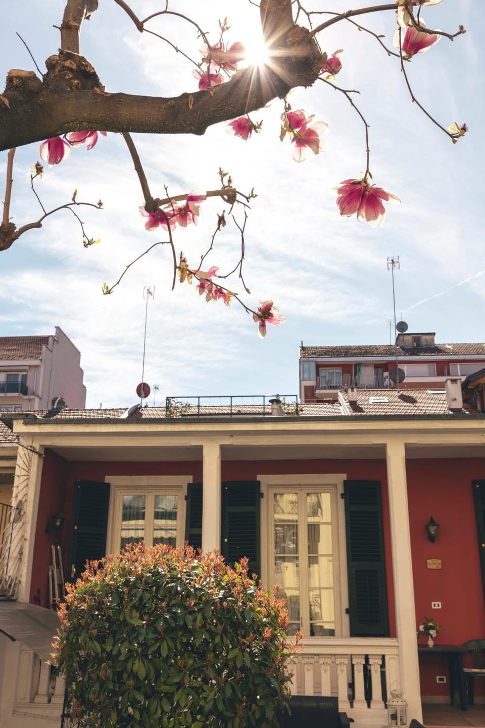 AT Home 128 : little garden in the city Apartment in Turin
