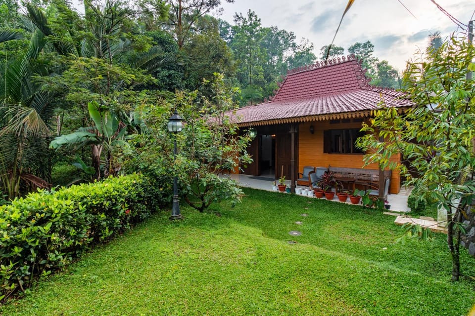 Property building, Day, Garden, Garden view