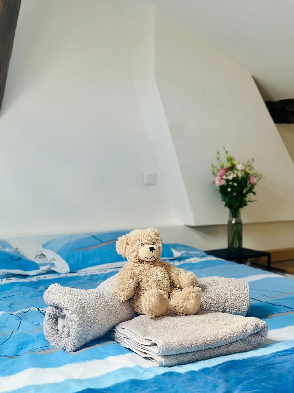 Le Cocon Parisien Apartment in Paris
