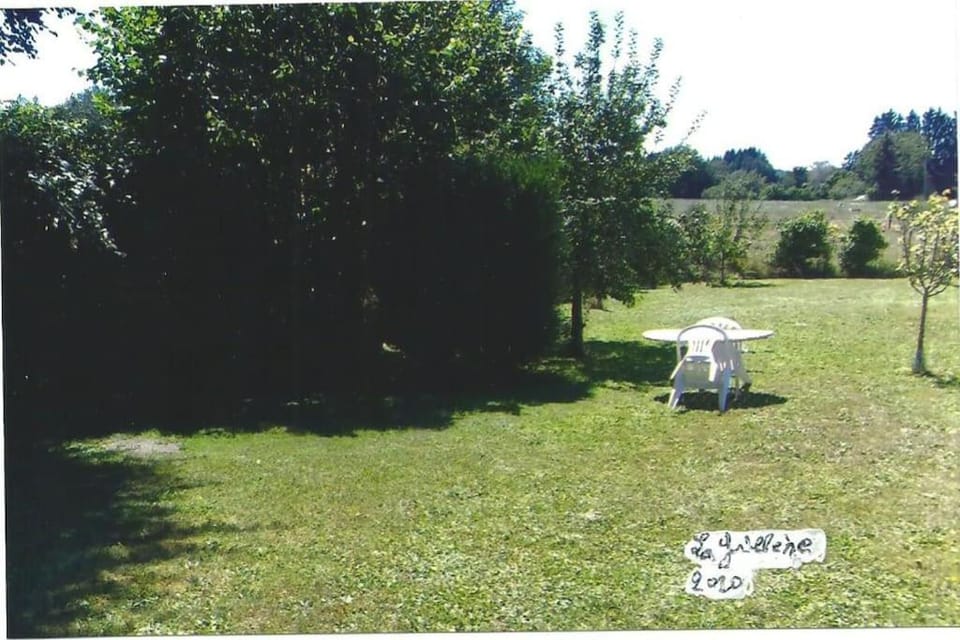 Natural landscape, Garden view