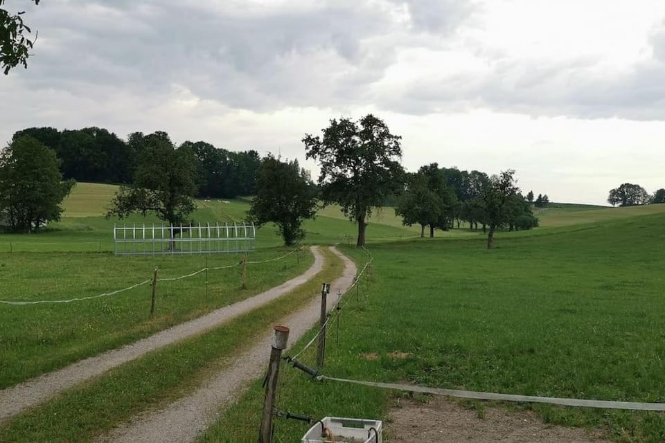 Natural landscape