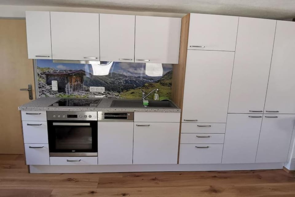 Kitchen or kitchenette, dishwasher, oven, stove