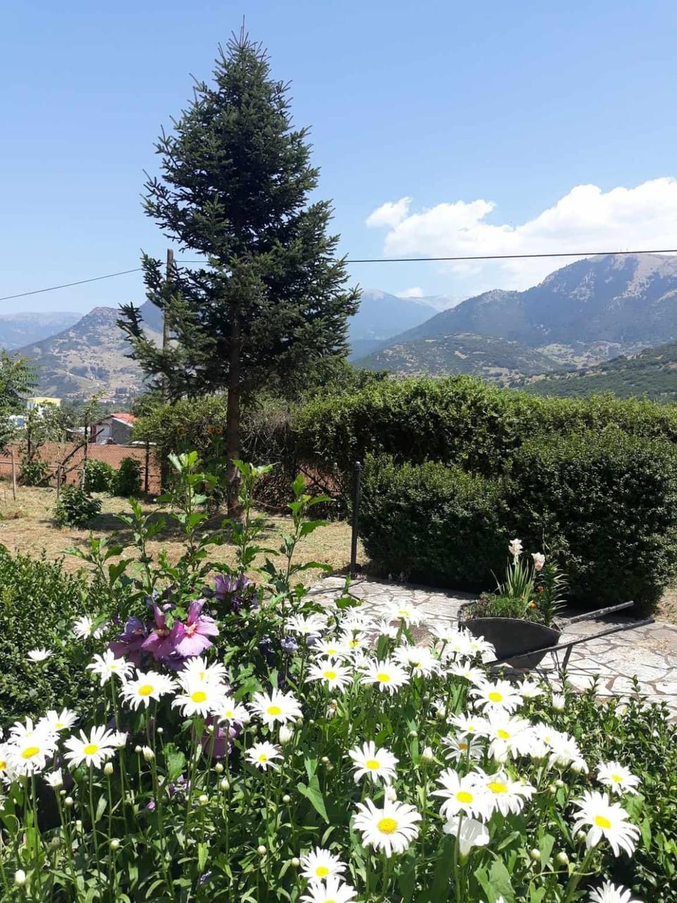 Garden view