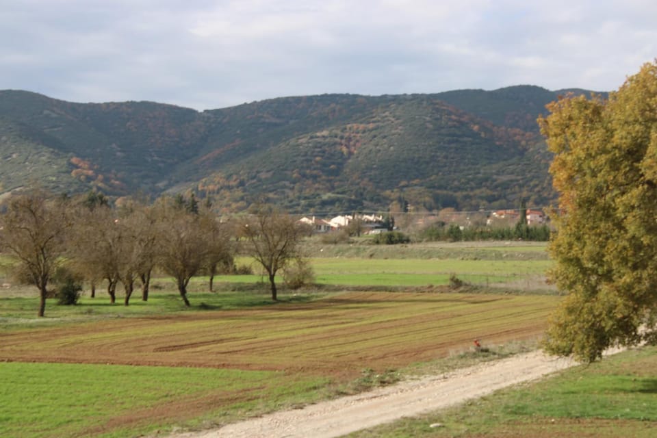 Natural landscape, Garden, Mountain view