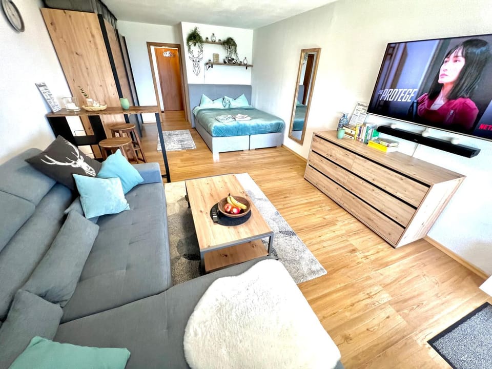Bed, TV and multimedia, Living room, Photo of the whole room, Seating area, Evening entertainment, Bedroom