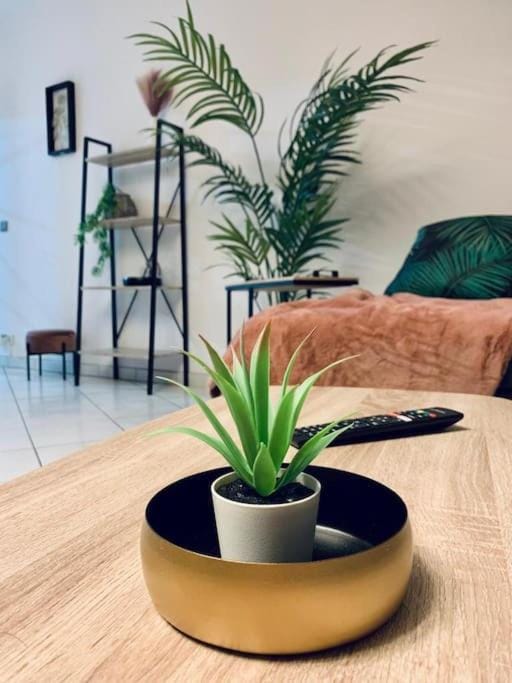 TOUR de l’europe, en plein centre avec parking. Apartment in Mulhouse