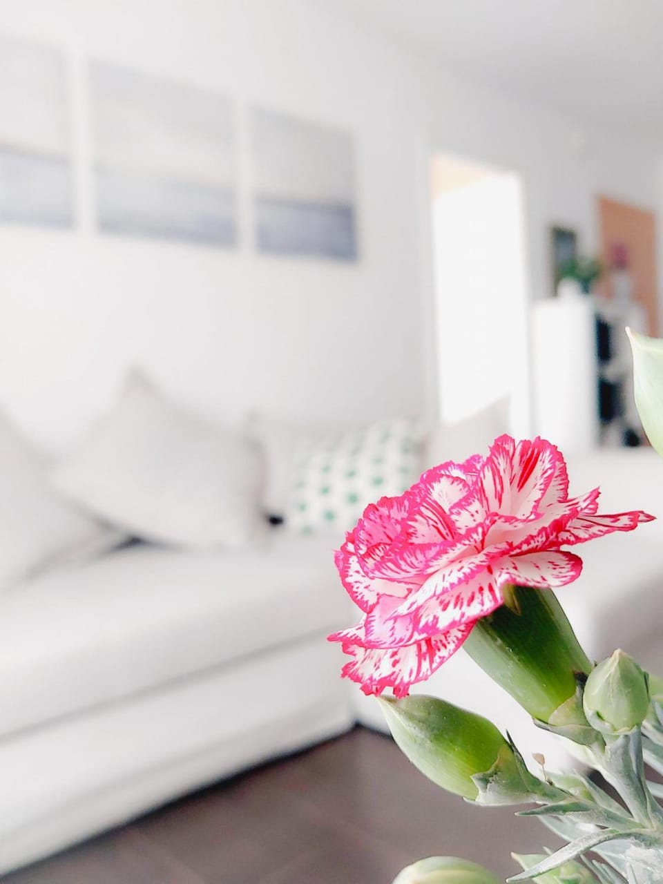 Alojamiento Amelie con Wi-Fi gratis Apartment in Murcia
