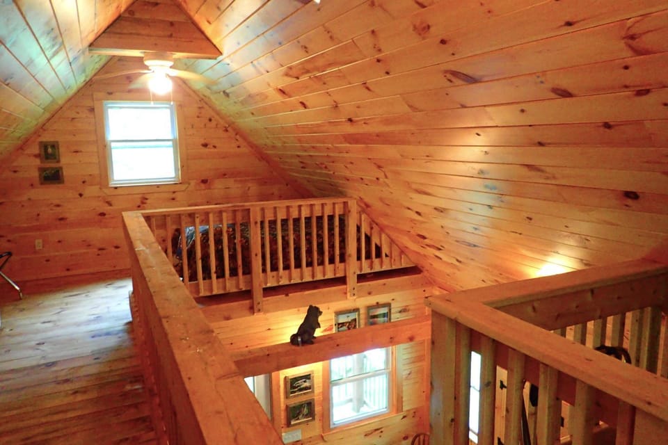 Wild Fox Cabins Cabin in Penobscot