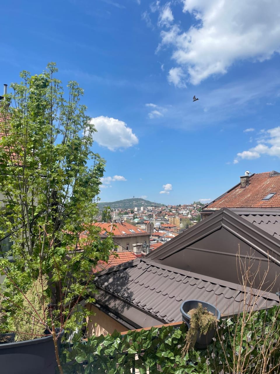 Old Town Home Apartment in Sarajevo