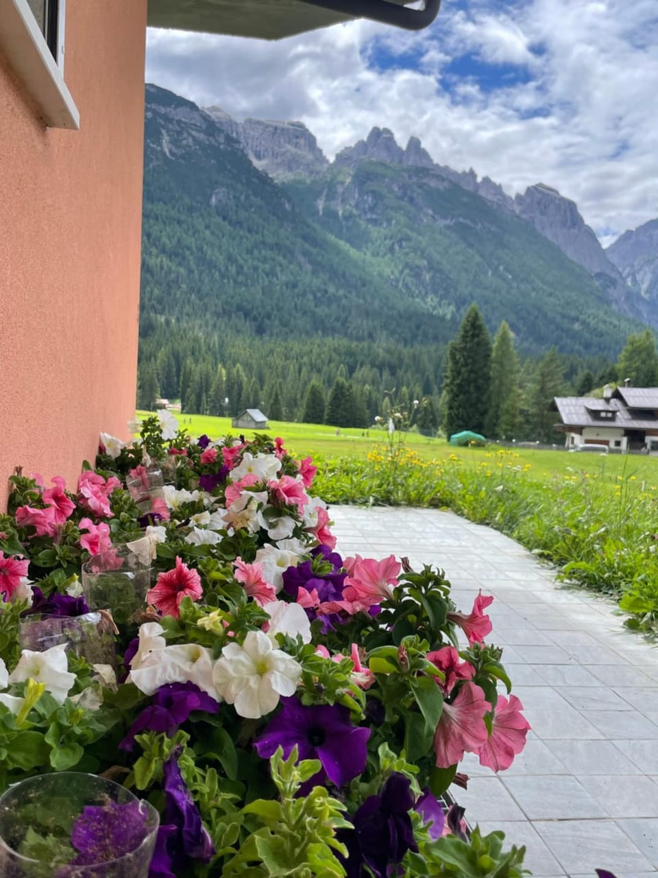 Natural landscape, Garden, Mountain view