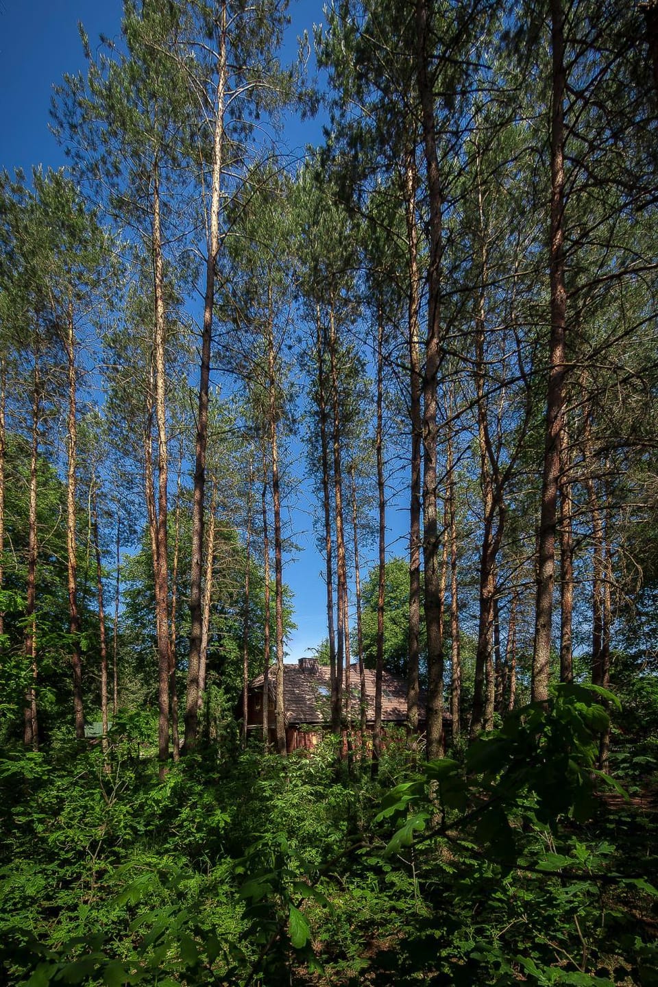 Spring, Day, Natural landscape, Activities, Summer, Area and facilities