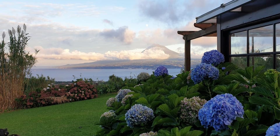 Garden, Mountain view, Sea view