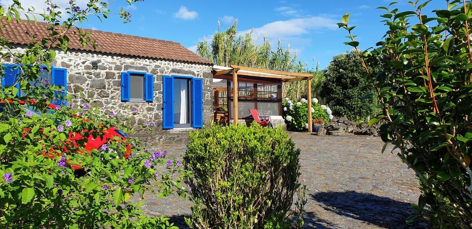 Property building, Day, Garden, Garden view