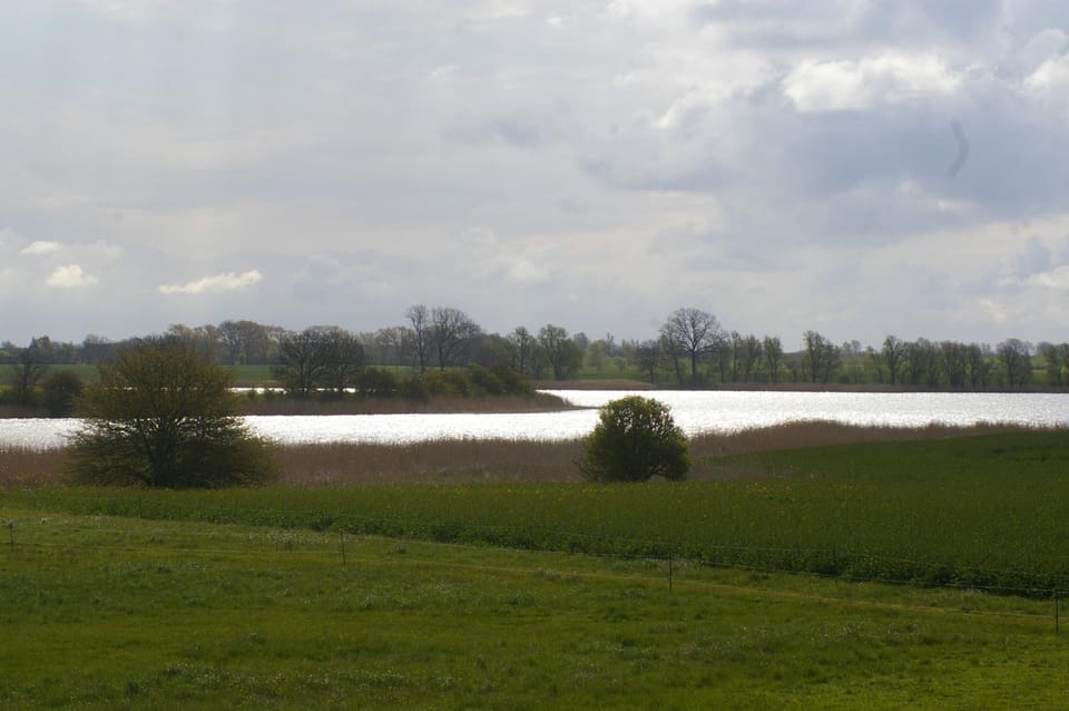 Lake view