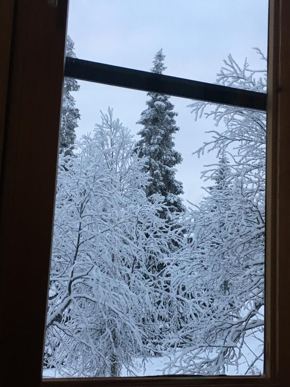 View (from property/room), Living room
