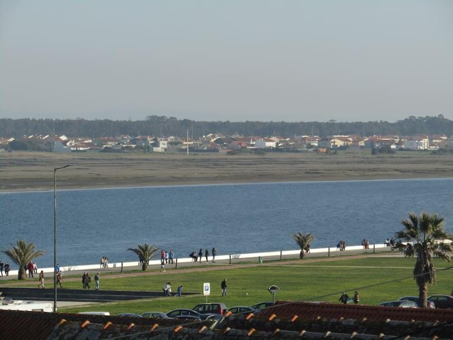 Natural landscape, River view