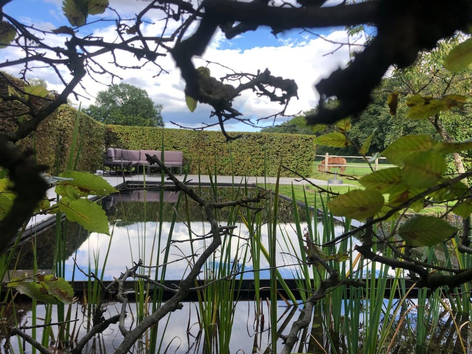 Garden, Swimming pool