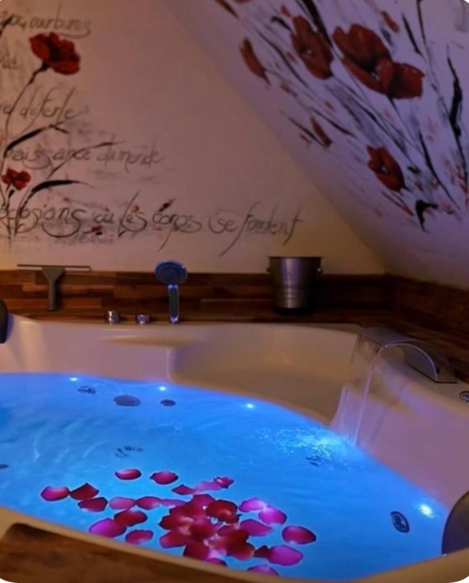 Séjour détente au cœur de MÂCON spa,ciné,bouteille offerte Apartment in Bourgogne-Franche-Comté