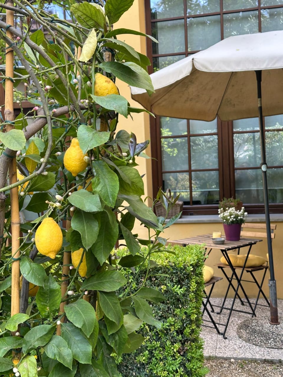 La Limonaia Firenze Apartment in Florence
