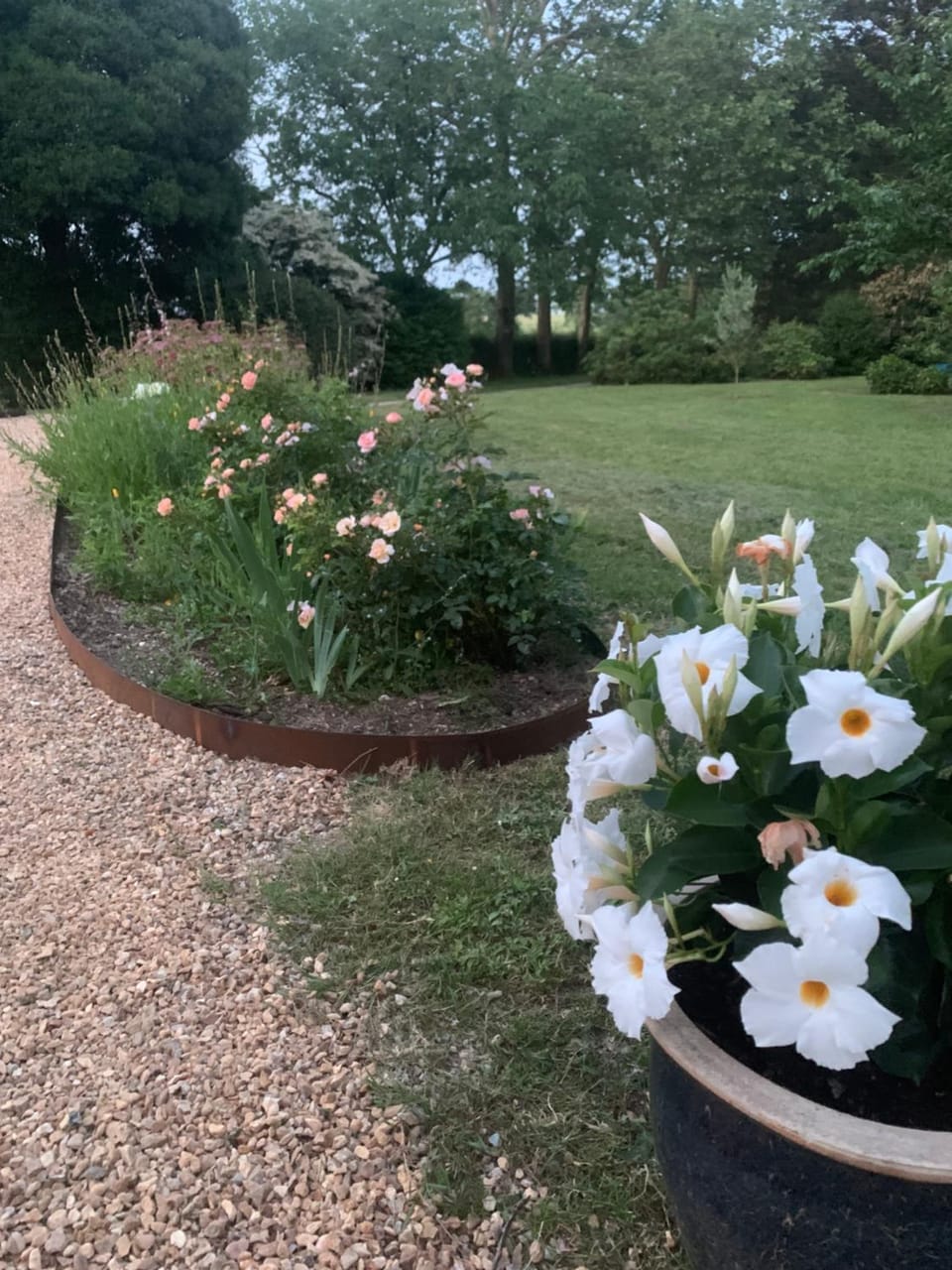 Le Manoir des Rochers Vacation rental in Pays de la Loire