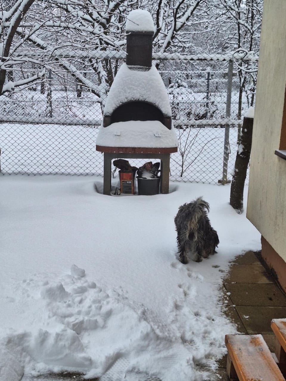 Winter