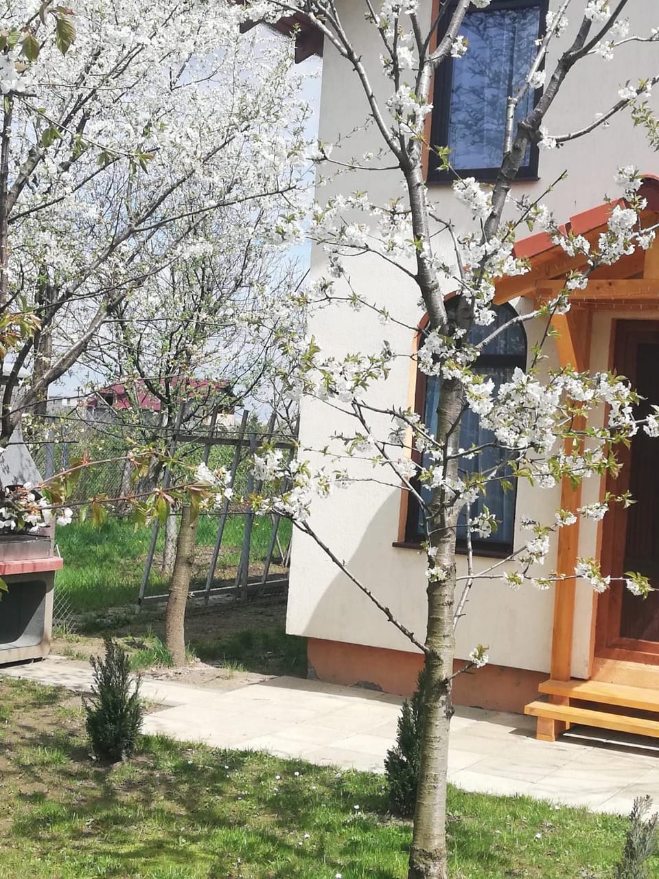 TINY CABIN Cabin in Brasov