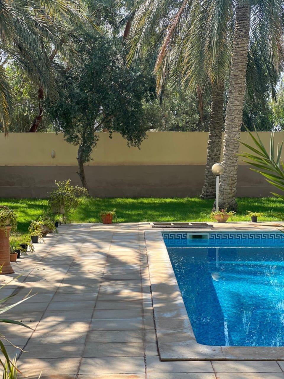 Dar dguech House in Tunisia