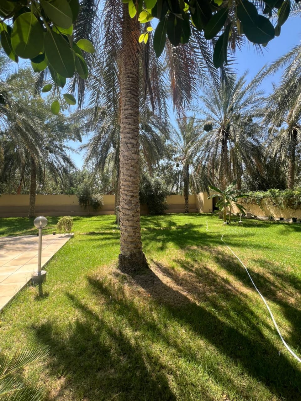 Dar dguech House in Tunisia