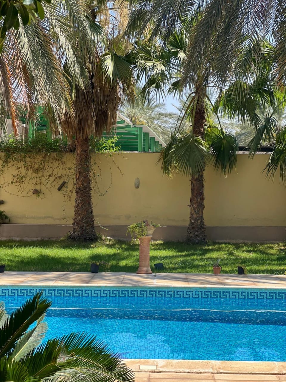 Dar dguech House in Tunisia