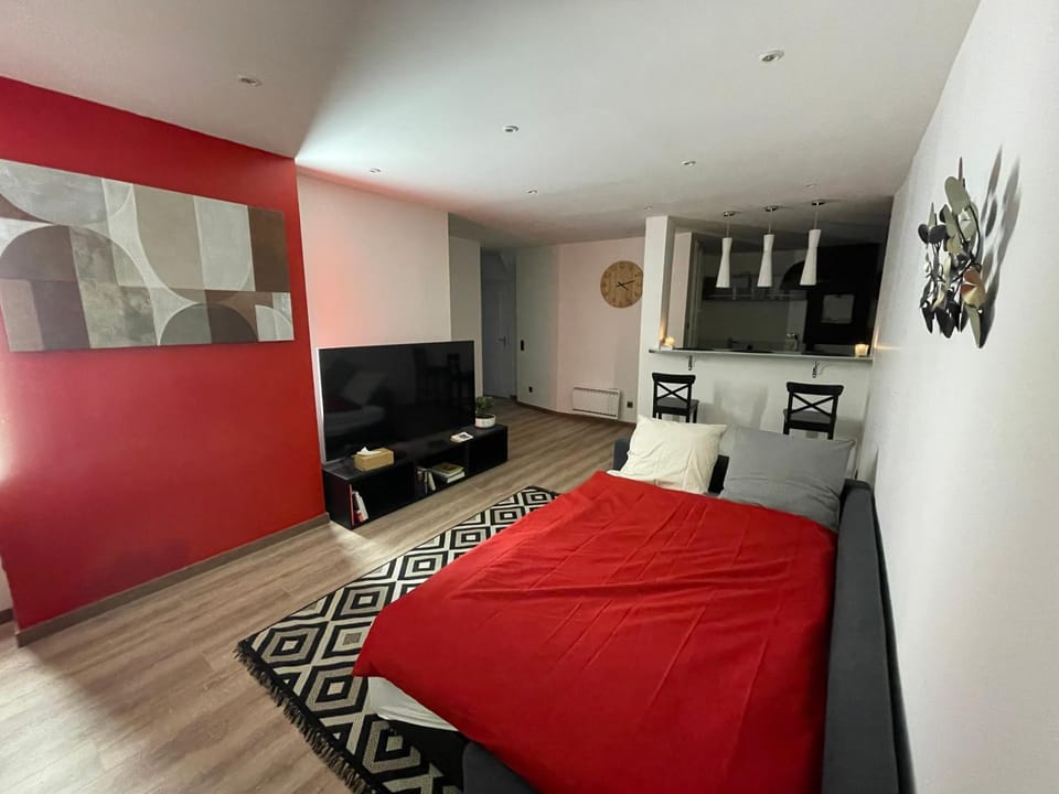 Communal lounge/ TV room, Bed, TV and multimedia, Living room, Photo of the whole room, Bedroom