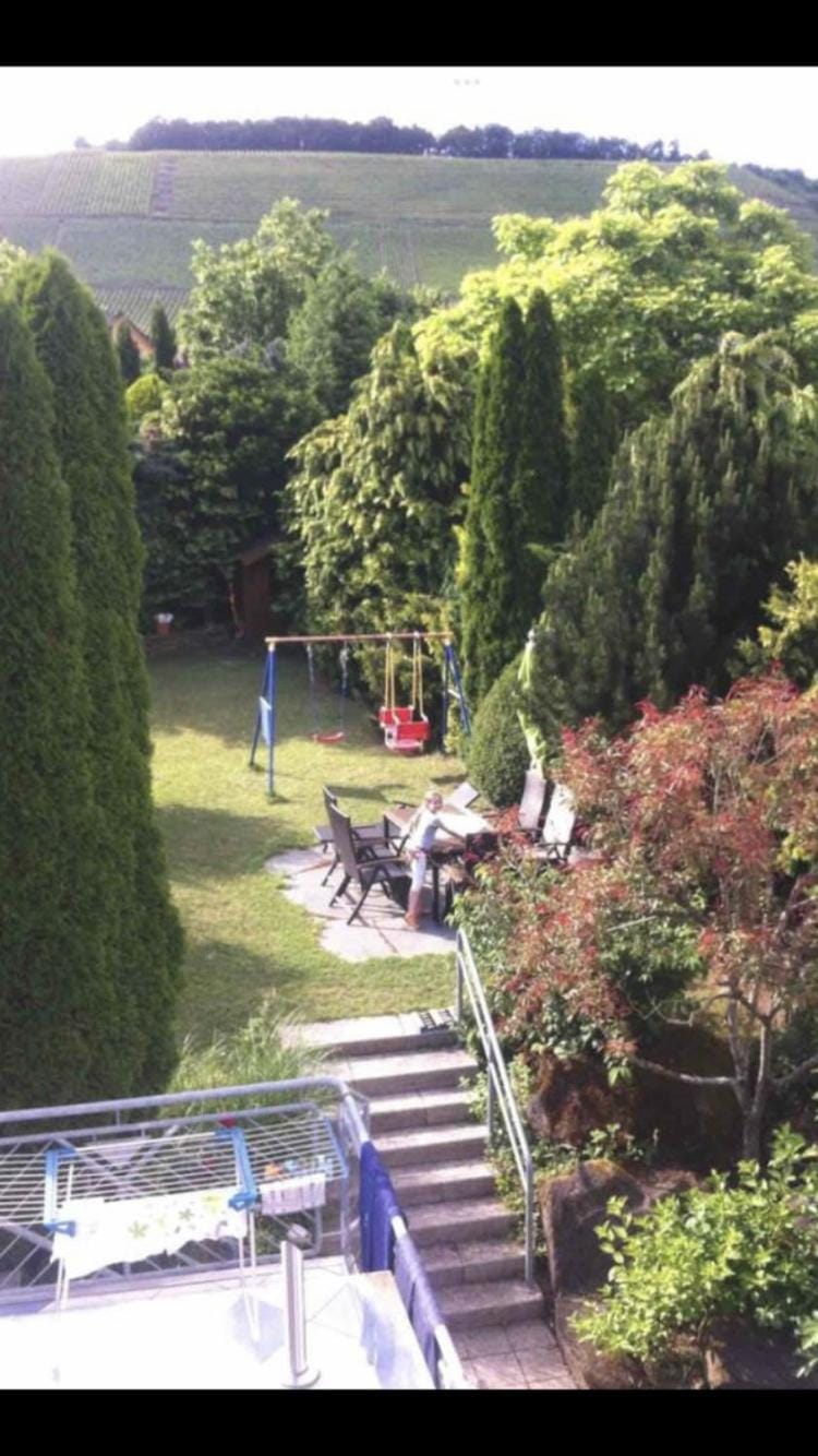 Property building, Garden