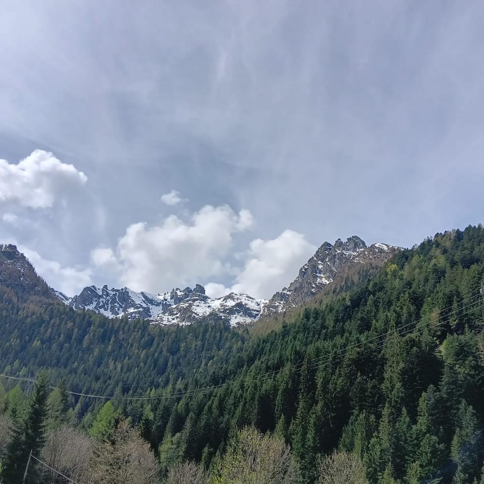 Mountain view